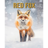Red Fox: Amazing Photos and Fun Facts Book