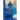 The Mirrored World