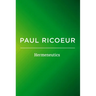 Hermeneutics: Writings and Lectures