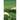 Life in the Good Shepherd's Flock: Meditations on Psalm 23