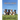 The Handbook on 47 Pure Breed Dogs with Hero Dog Awards by Excellent and Outstanding Trainers between from 2000-2025
