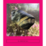 Elemental: Earth Stories