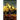 Journey to the Kingdom of Soul: Written By: Everlazt