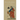 Primal Philosophy: Rousseau with Laplanche