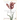 Harbour: Poems 2000-2019
