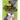 Ronald Acuña Jr. vs. Rickey Henderson: Who Would Win?