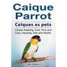 Caique parrot. Caiques as pets. Caique Keeping, Care, Pros and Cons, Housing, Diet and Health.