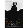 The Meaning of Soul: Black Music and Resilience Since the 1960s