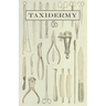 Taxidermy