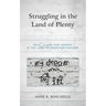 Struggling in the Land of Plenty: Race, Class, and Gender in the Lives of Homeless Families