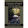 A Journey of Voices: Chasing the Frontier
