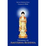 Thinking of Amit Bha Buddha