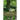 Under the Greenwood Tree