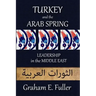 Turkey and the Arab Spring: Leadership in the Middle East