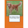 New and Improved How to Raise and Train your Golden Retriever Puppy or Dog
