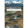 Robinson R22 Systems Manual
