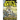 Knights of the Skull: Tales of the Waffen SS