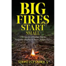Big Fires Start Small: The Case for a Paradigm Shift in California's Response to Today's Wildfire Crisis