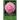 Camellia Garden Field Guide