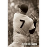 7: The Mickey Mantle Novel