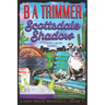 Scottsdale Shadow: a fun, romantic, thrilling, adventure...