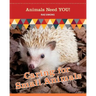 Caring for Small Animals