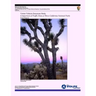 Visitor Vehicle Emissions Study: Comparison of Traffic Data at Three California National Parks- Final Report