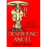 The Destroying Angel
