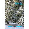 Stone Soup Magazine: December 2021