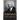 The History of the Negro Church
