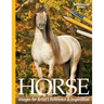Horse Images for Artist's Reference and Inspiration: Perfect Bound Edition