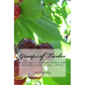 Groups of Twelve: A new way to mobilize leaders and multiply groups in your chur