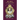Hero in the Storm: Pius IX Against the Revolution