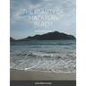 The beauty of Mazatlan beach - A brief photo guide: A brief photo guide