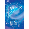 Lessons from Spirit