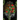 Ivy