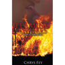 Flaming Crimes
