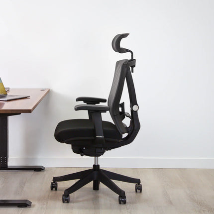 AeryChair Ergonomic Office Chair by EFFYDESK by Level Up Desks