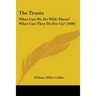 The Trusts: What Can We Do With Them? What Can They Do For Us? (1900)