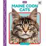 Maine Coon Cats