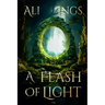 A Flash Of Light