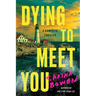 Dying to Meet You: A Domestic Thriller