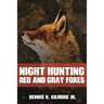 Night Hunting Red And Gray Foxes