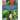 Trees and Shrubs of Mount Pleasant Cemetery