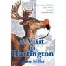 A Visit to Hartington: A Short Story Collection about Life in a Small Nebraska Town