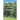 The Thing at the End of the Woods