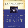 The Experiencing the Passion of Christ: God's Purpose Behind Christ's Pain