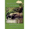 Glimpses through the Forest: Memories of Gabon