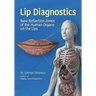 Lip Diagnostics: New Reflection Zones of the Human Organs on the Lips