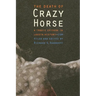 The Death of Crazy Horse: A Tragic Episode in Lakota History